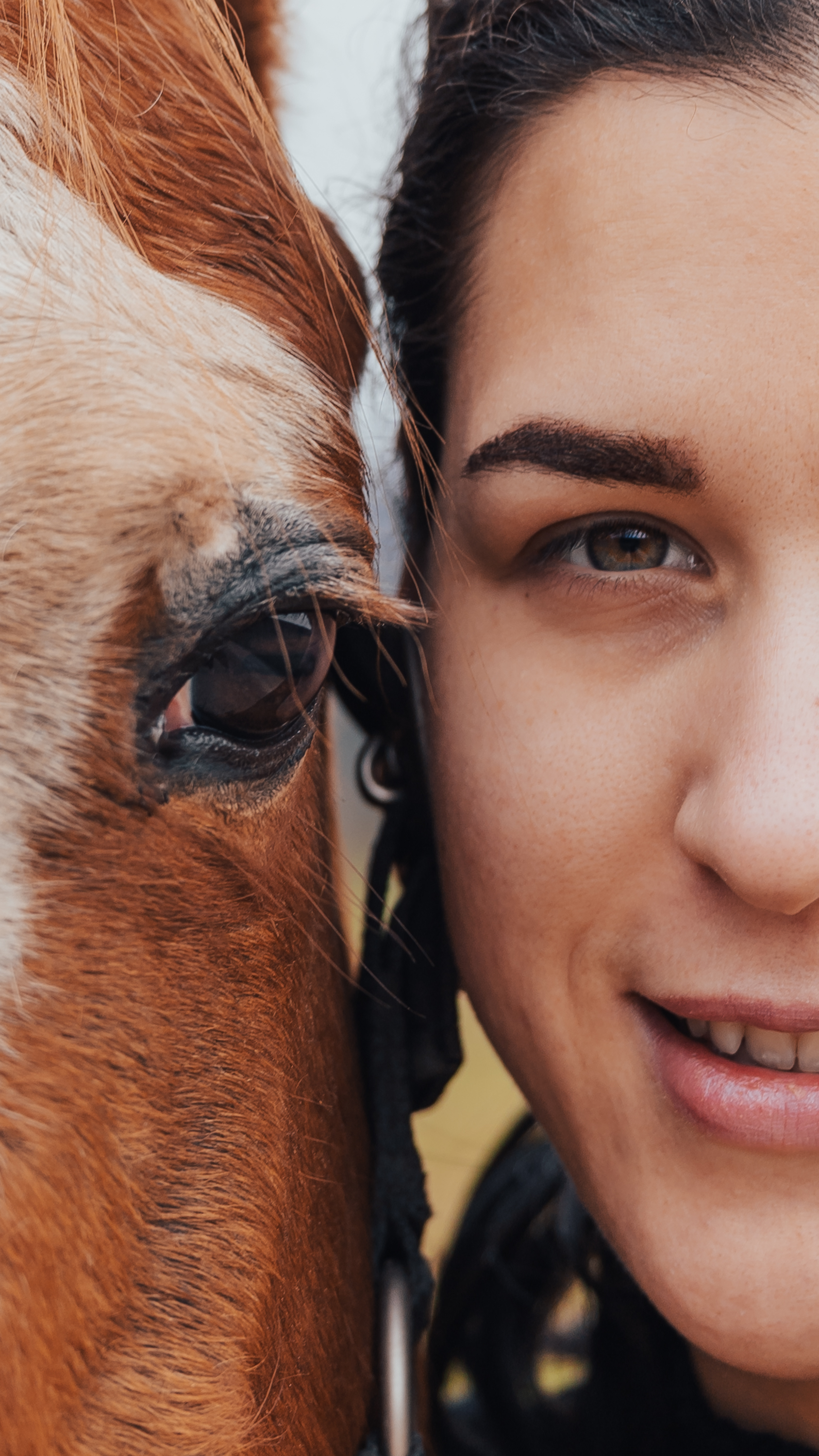 Martina horse